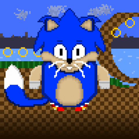 Sonic The Hedgehog Pixel GIF by Noah Malloy