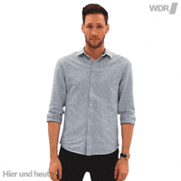 sven think GIF by WDR