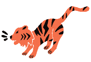 Let's Go Studio Sticker