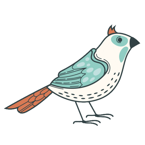 Ipecolorido Sticker by milenestefania