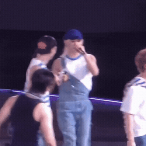 Stray Kids Skz GIF