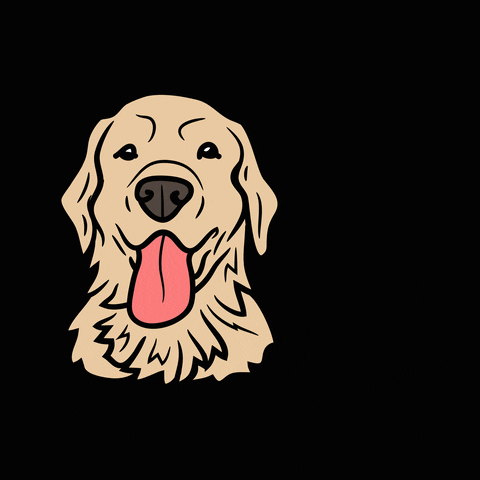 The Country Minimalists GIF