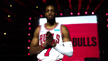 Troy Brown Jr Sport GIF by Chicago Bulls