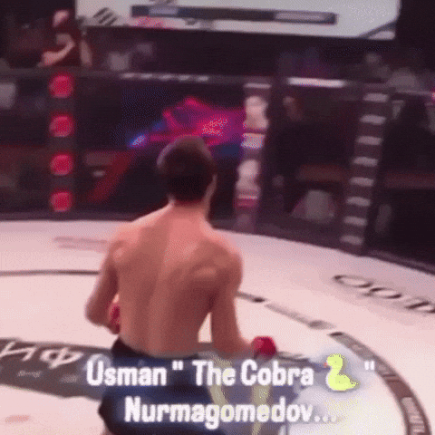 Khabib Nurmagomedov GIF