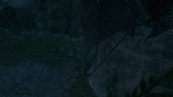 Bg3 Baldurs Gate 3 GIF