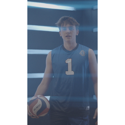 Aumensvolleyball Sticker by Aurora University Men's Volleyball