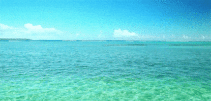 clear water GIF