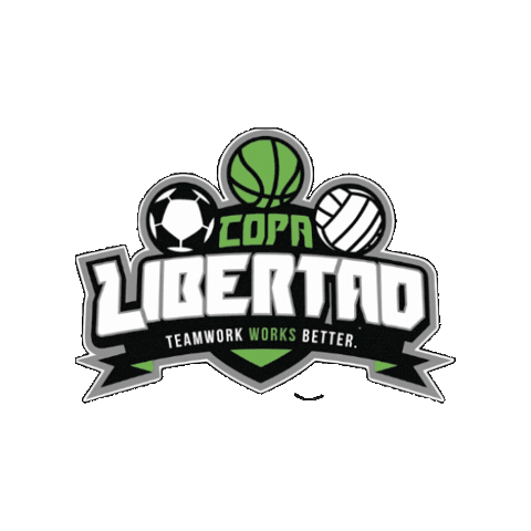 Soccer Basket Sticker by Colegio Inglés de Torreón-CIT