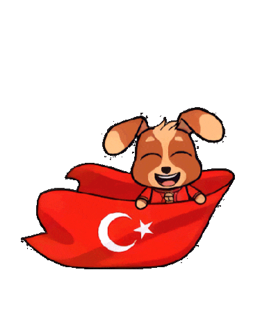 Celebration Ataturk Sticker by Tiny Minies
