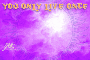 You Only Live Once Stork GIF by Yolo Rum
