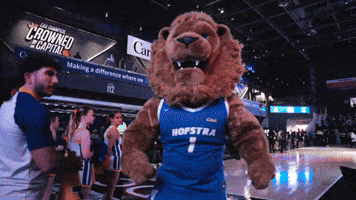 New York Basketball GIF by Hofstra University