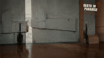 sneaky ninja thief sneaky ninja thief