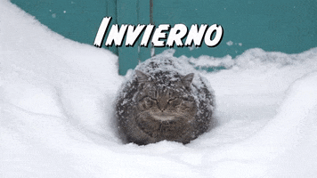Snow Freezing GIF by Sealed With A GIF