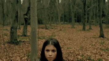 Wolfblood GIF