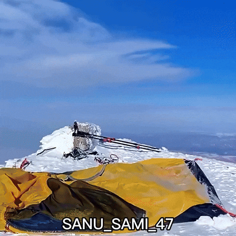 World Record Trending GIF