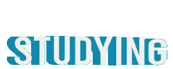 Studying Fast Learner Sticker