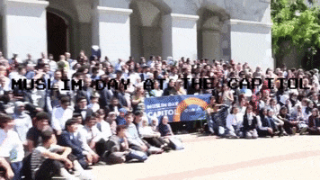 cairsfba GIF