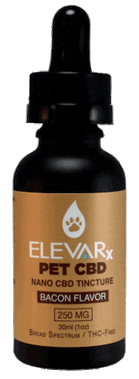 elevarx Sticker