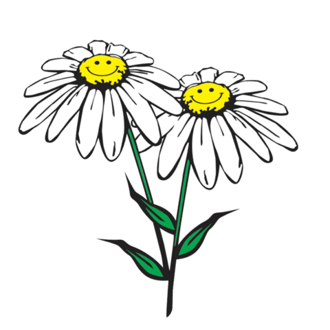 Daisy Sunflowers Sticker by By Samii Ryan for iOS & Android | GIPHY