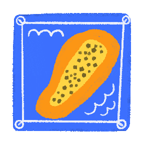 Fruit No Sticker