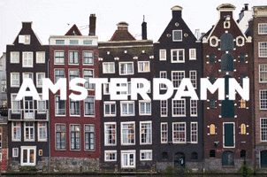 Amsterdam Wordpress GIF by Cityhub