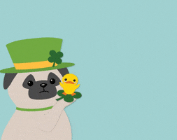 St Patricks Day Pug GIF by evite