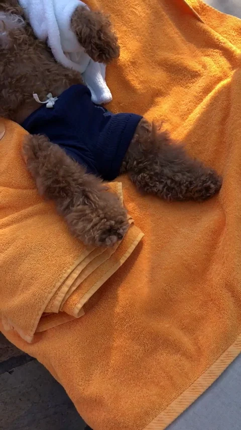 Sexy Happy Hour GIF