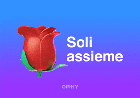 Soli Assieme GIF by GIPHY Cares