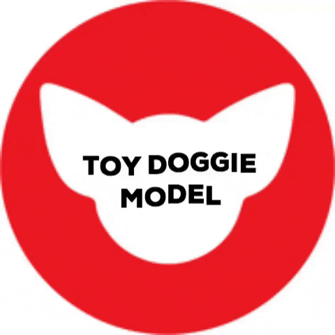 Td GIF by Toy Doggie