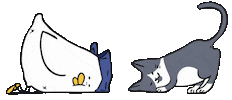 Cat Sticker