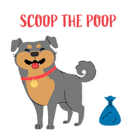 Animated-poop GIFs - Get the best GIF on GIPHY Animated-poop GIFs - Get the best GIF on GIPHY
