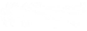 Antwerp Diversiteit Sticker by Stad Antwerpen