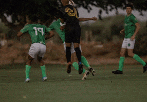 Academica SC GIF