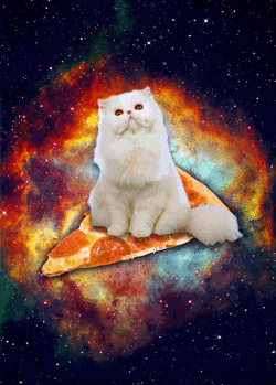 giphy.gif?cid=3640f6095bad0f886459534249
