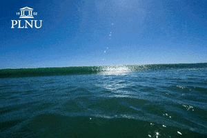 PLNU wave surf coronado plnu GIF