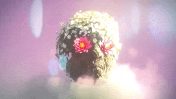 Everyone Blooms GIF by The Front Bottoms