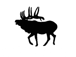 Bull Elk Deer GIF by gnarlyhorn