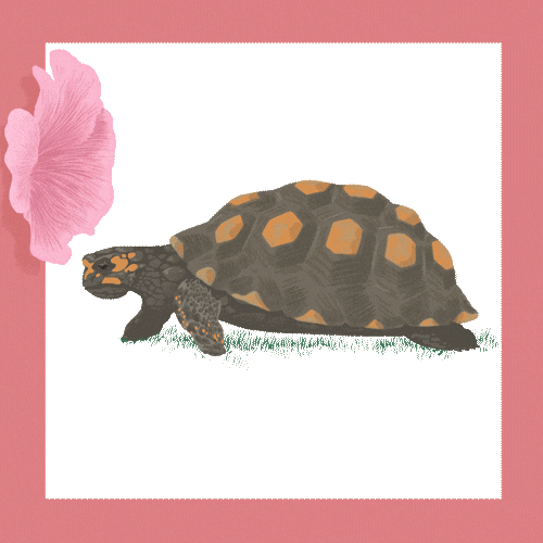 Flower Saint Sticker by Cheval Blanc Randheli