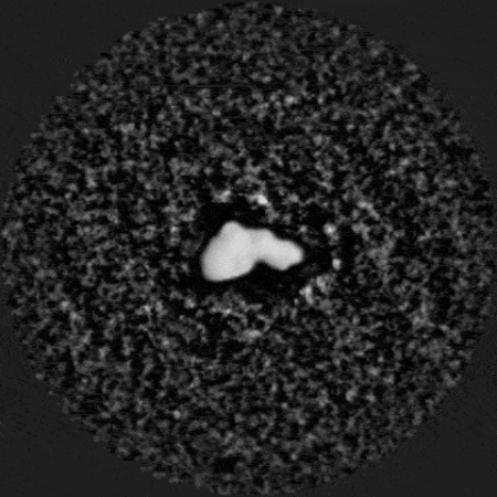 44Nysa GIF