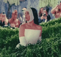 Katy Perry Hiding GIF