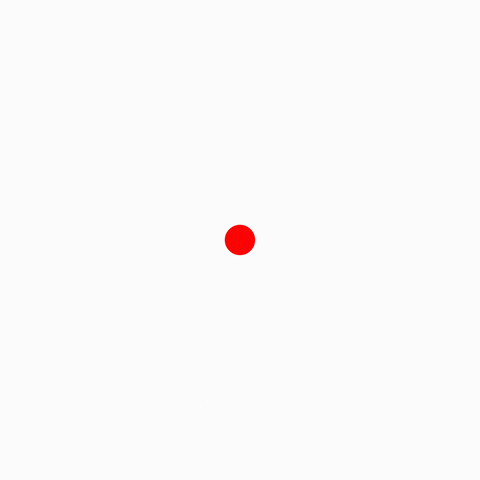 Disco Argentina GIF
