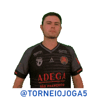 La Henrique Sticker by Torneio Joga 5