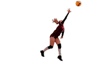 Team Love Sticker by Volleyball Federation of Podolsk