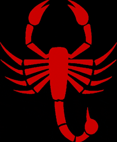 Scorpion Dance Team GIF