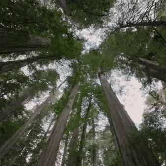 Climate Change California GIF by PBS Digital Studios