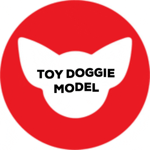 Toydoggiepr td toydoggie toydoggiepr GIF