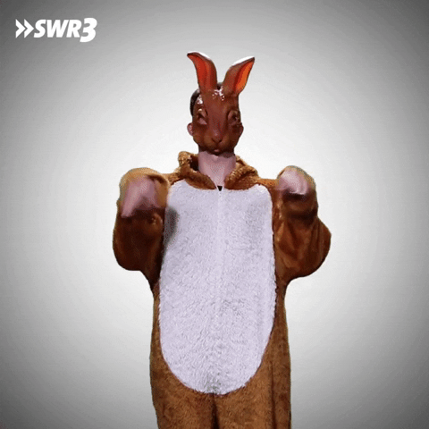 Happy Bunny GIF by SWR3