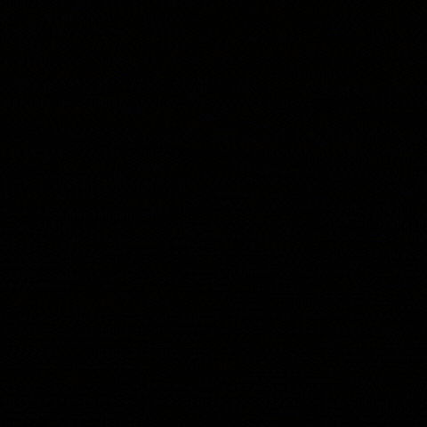 Debating Eastern Orthodox GIF