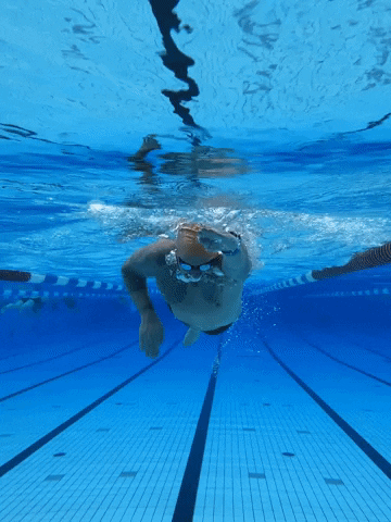 Training Swimming GIF by ARK Sports