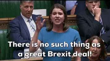 news brexit parliament house of commons jo swinson GIF